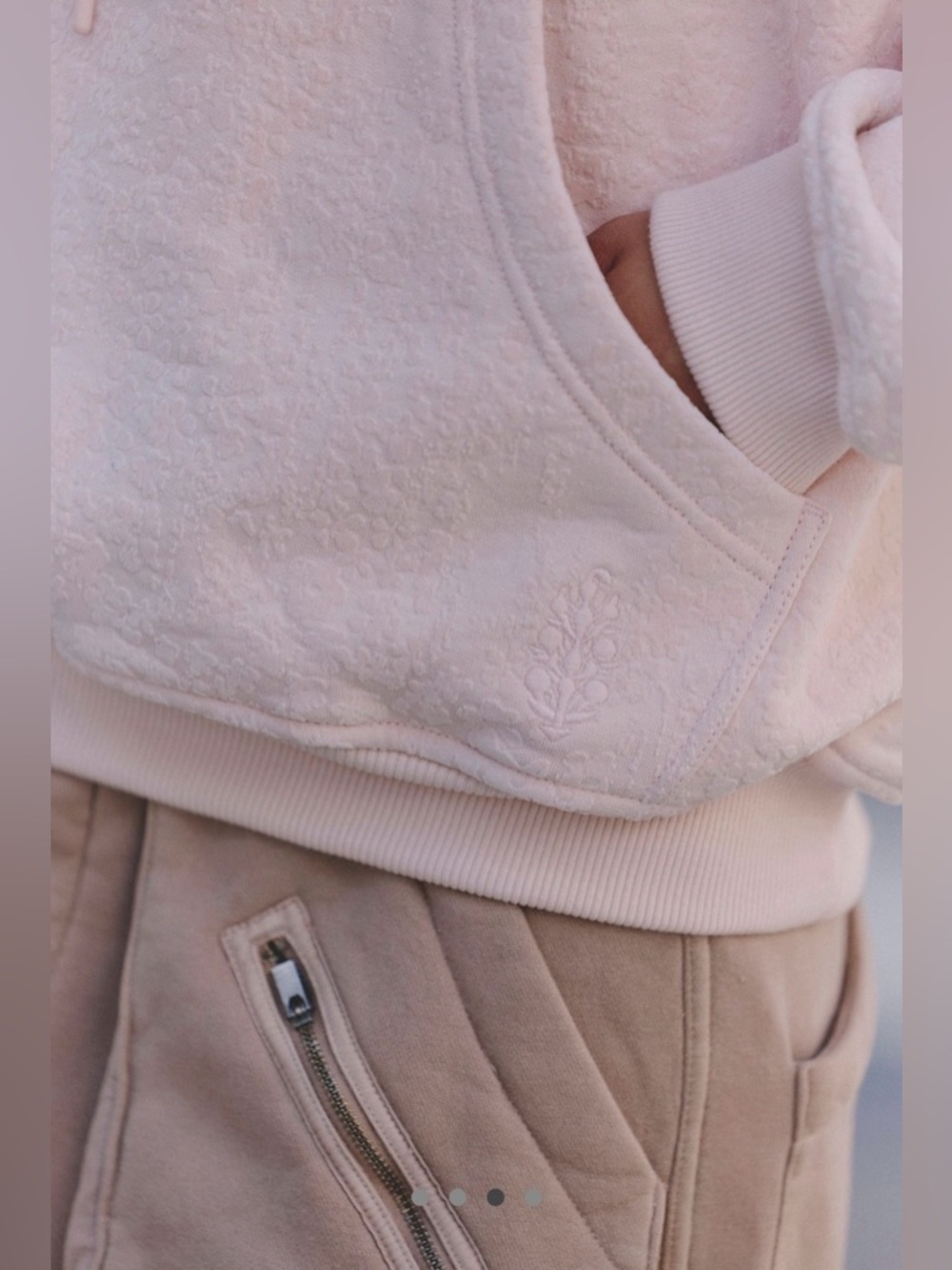 Free People Flocked Hoodie - Picture 3 of 5